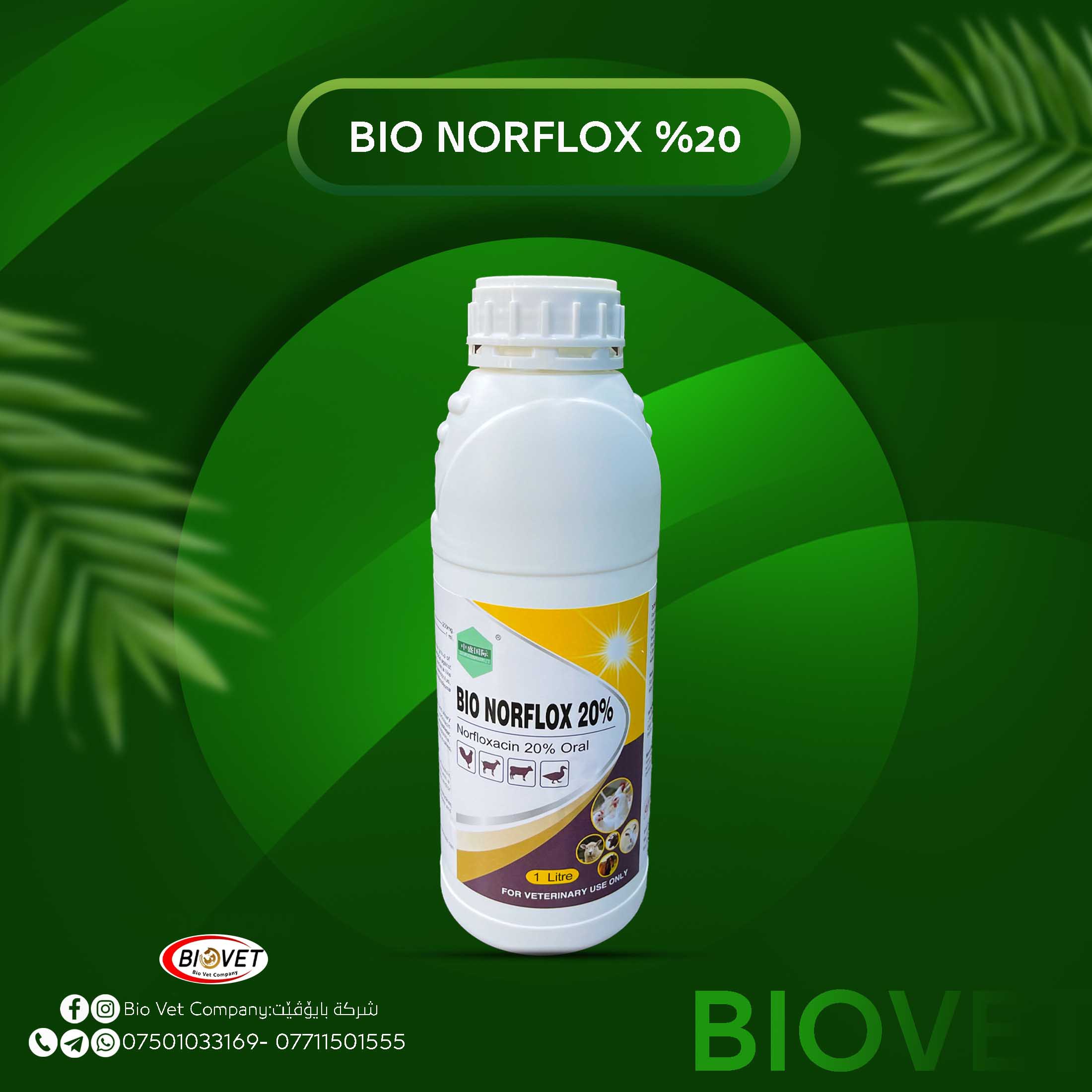 BIO NORFLOX %20